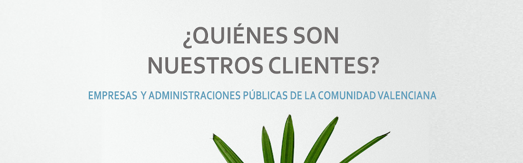 Gesis Digital S.L. en Borriana
