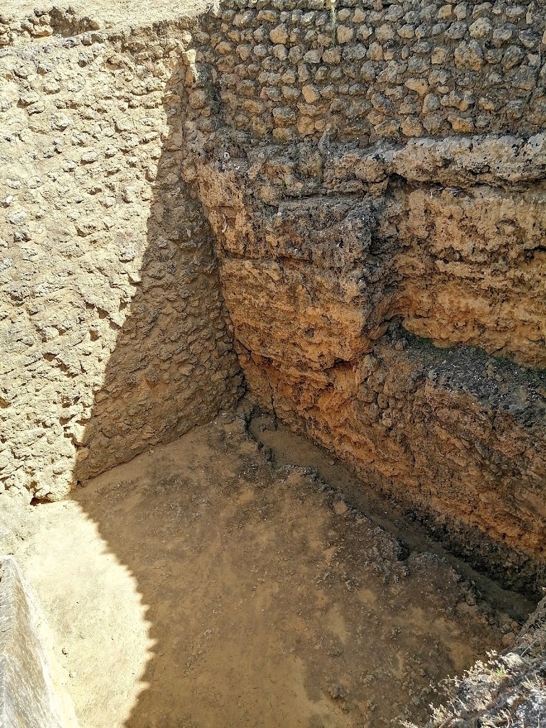 Taller Necropolis (Ramon Fernandez)