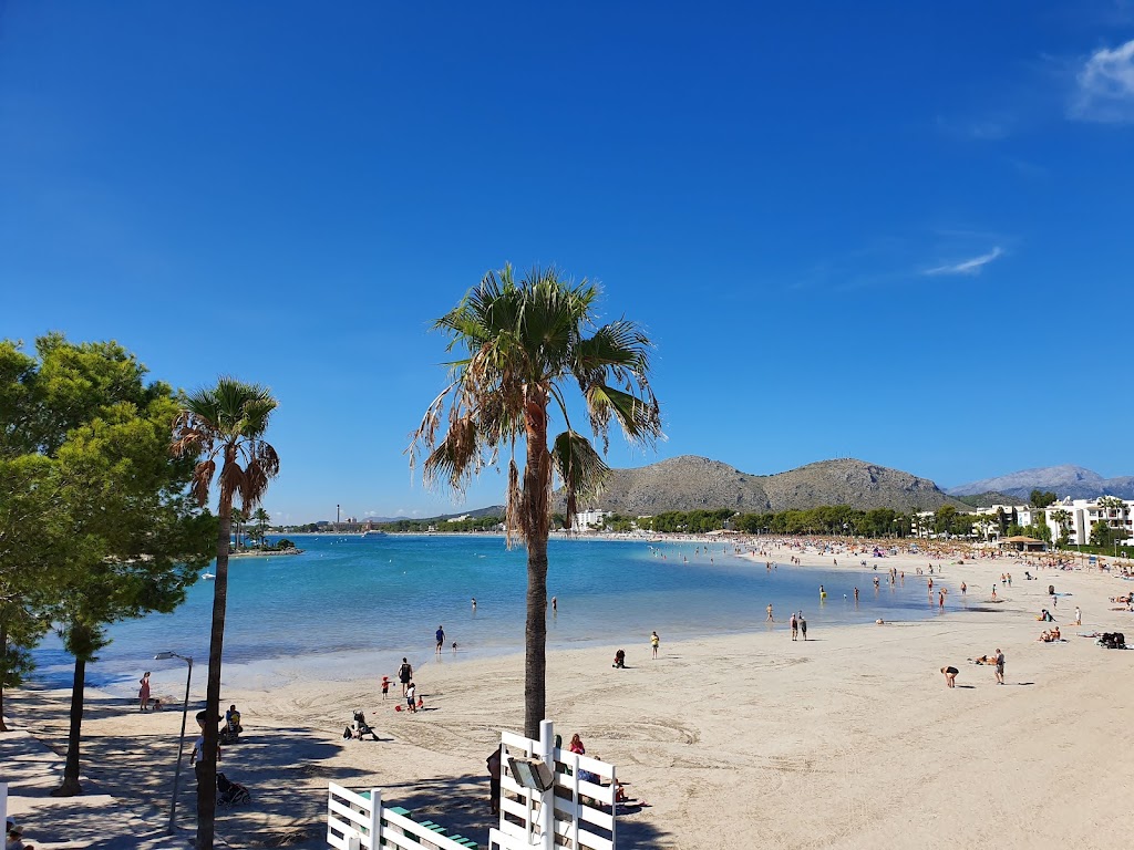 Port d'Alcudia