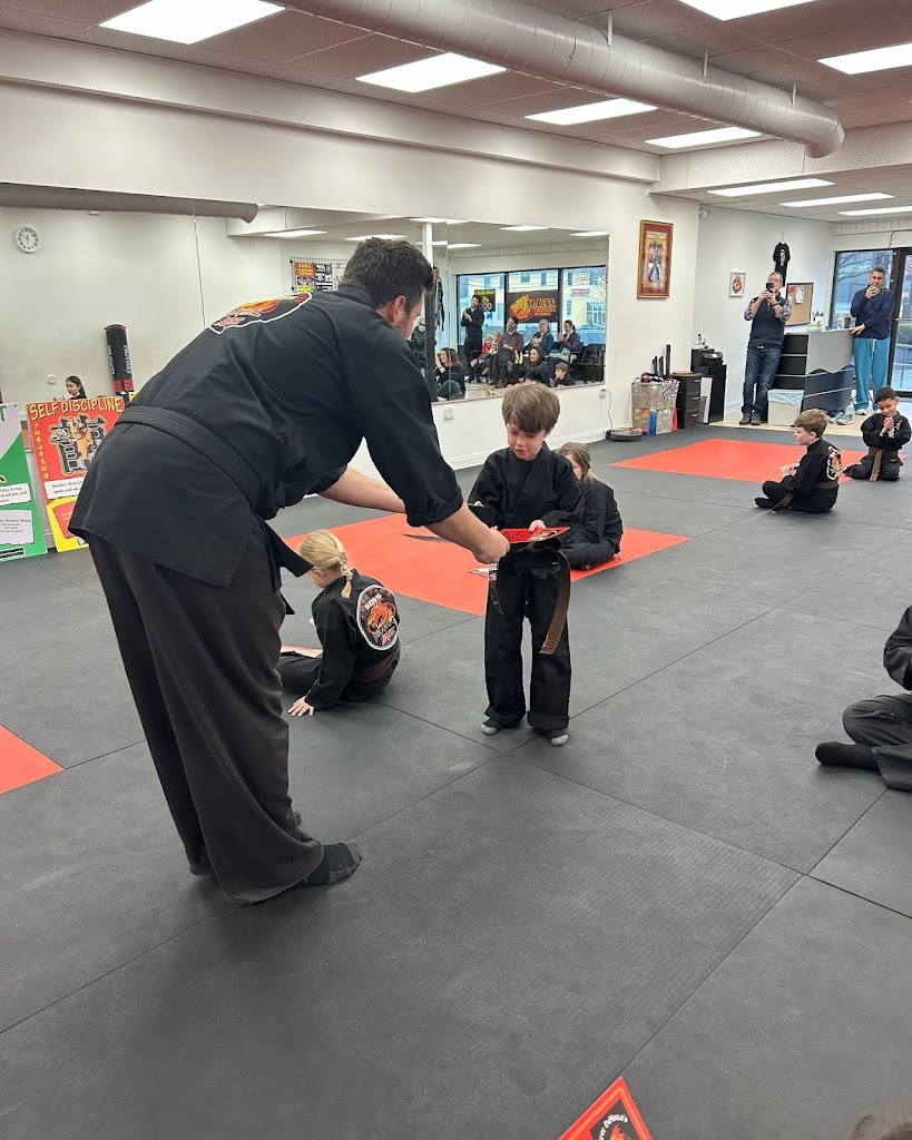  Steve DeMasco's Martial Arts of Wellesley