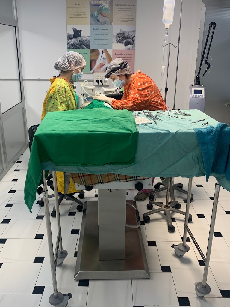 AniCura Asturpet Hospital Veterinario — Del propietario