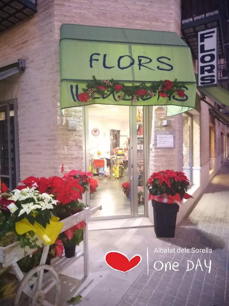Floristeria i papereria Il.lusions