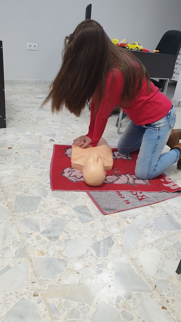 Autoescuela Cami Reial