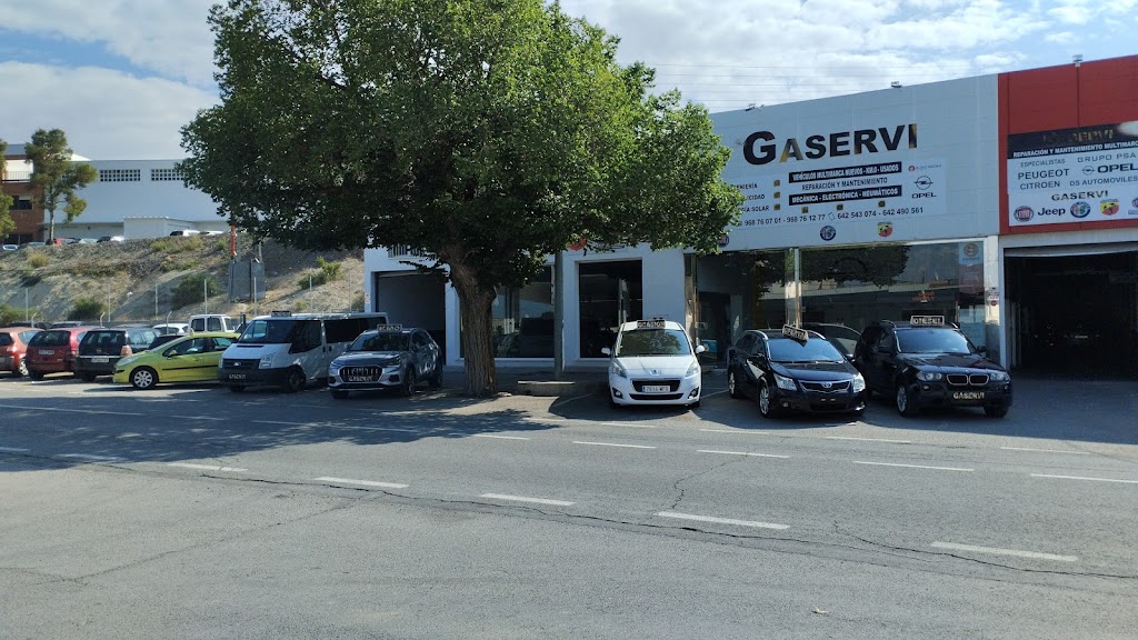 Gaservi Mecanica Chapa Y Pintura — Del propietario