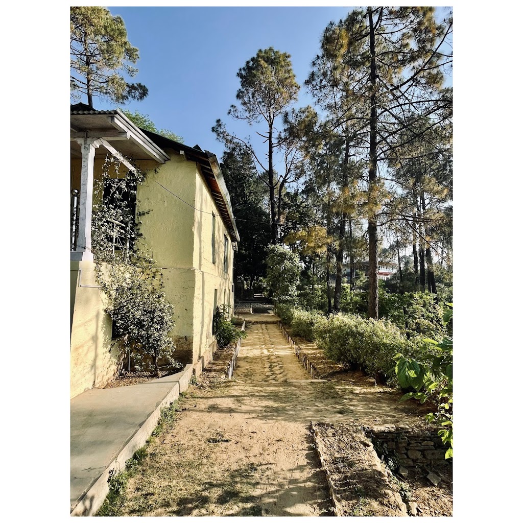Mulberry House Kasar