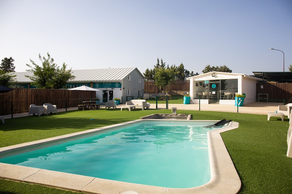 Vive Pets (Las Rozas) Hotel 24h, guarderia y peluqueria canina