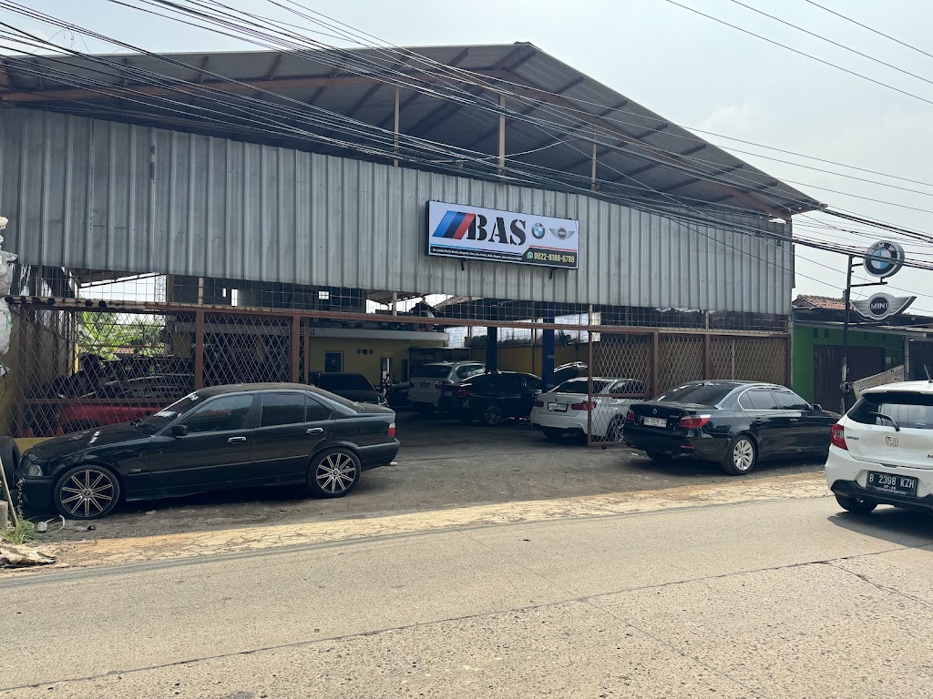 BMW BAS