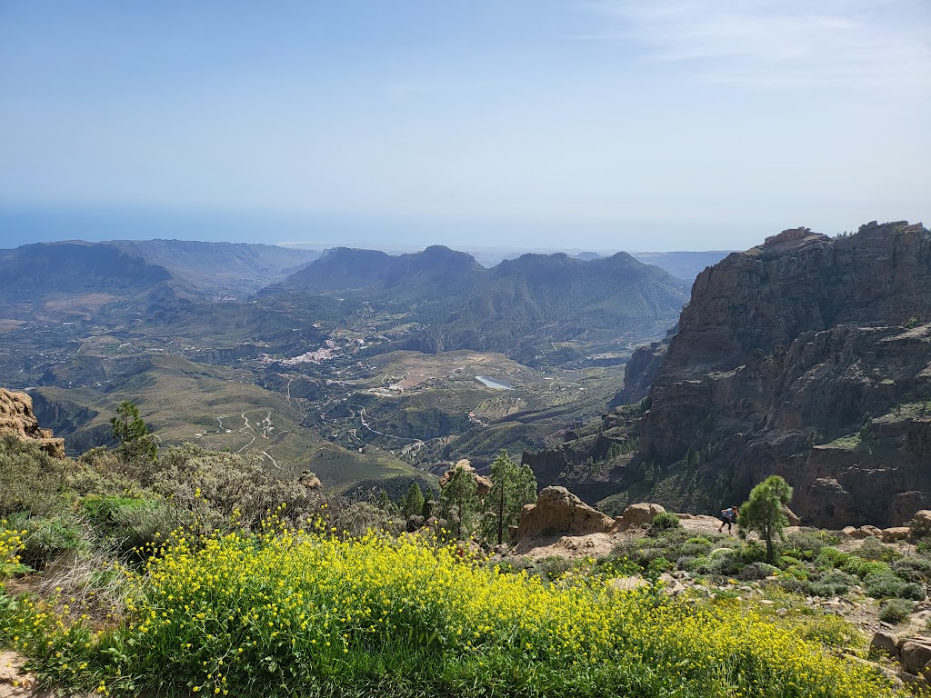 Mirador del Pico de los Pozos de las Nieves