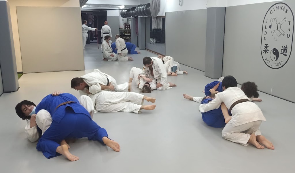 Gimnasio Judo Tao — Del propietario