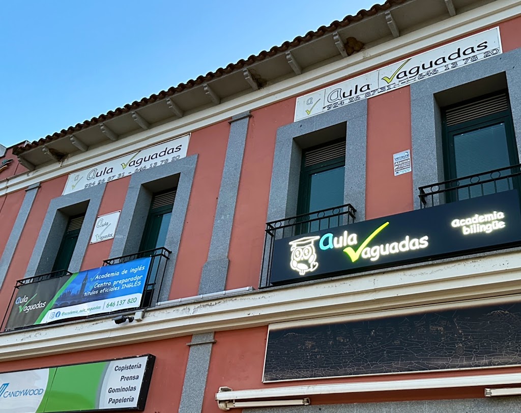 Academia Aula Vaguadas — Del propietario