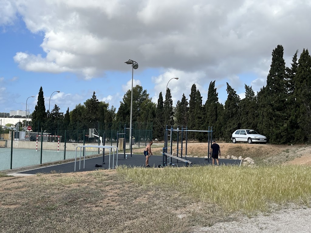 Parque de Calistenia & Street Workout