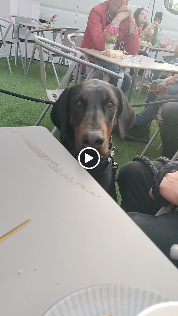 DALUNA Cafe — Videos