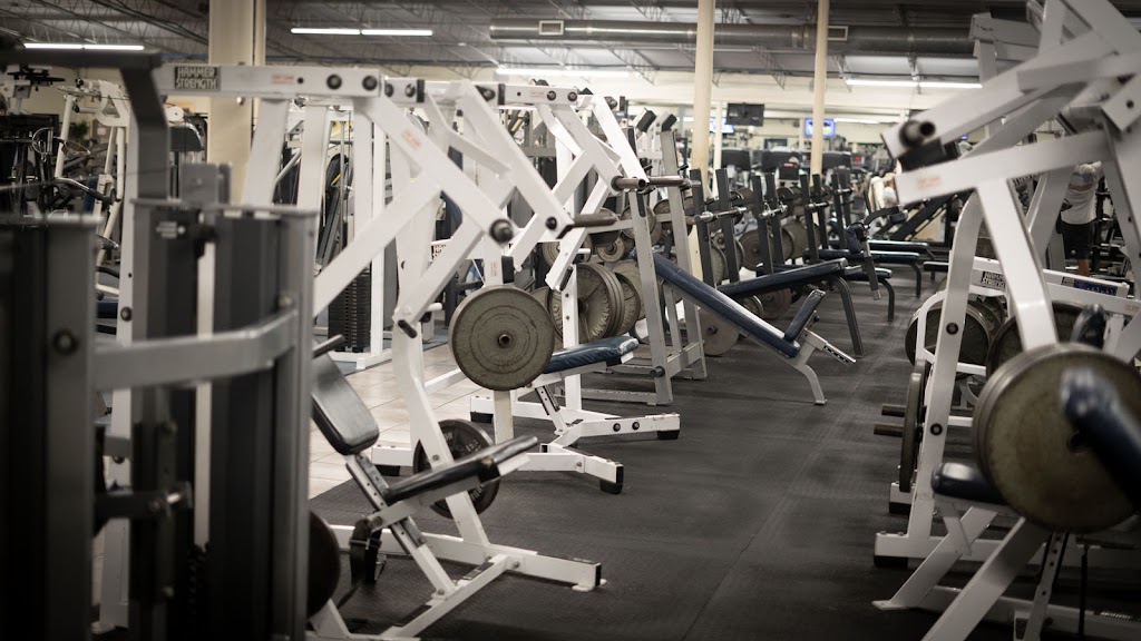  Beach Bodies Health and Fitness