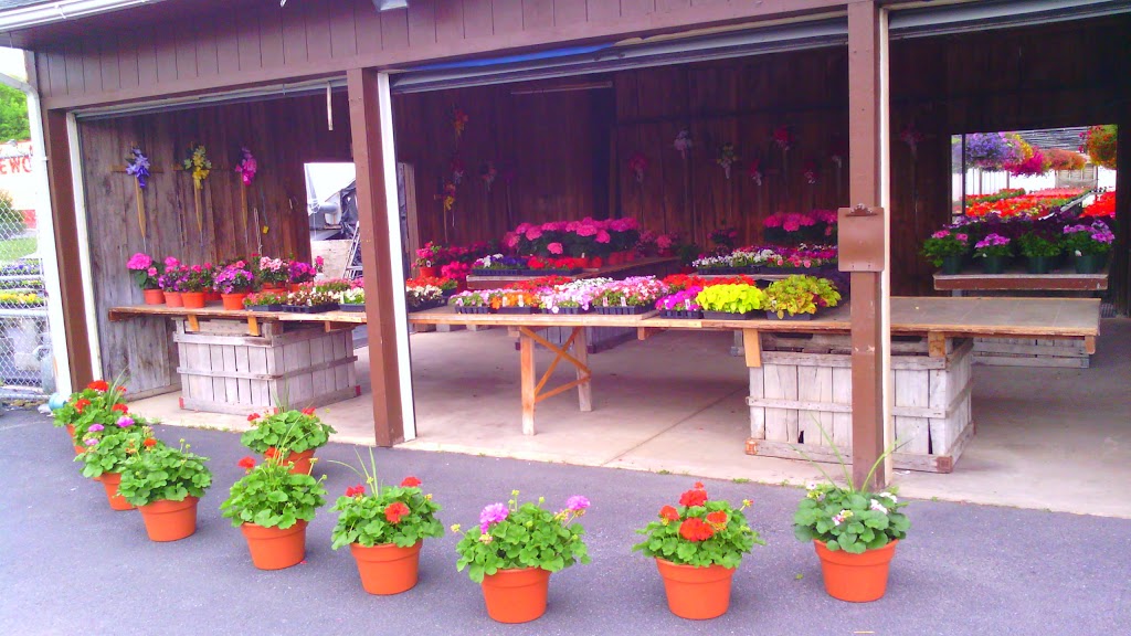 Raubs Florist & Greenhouses