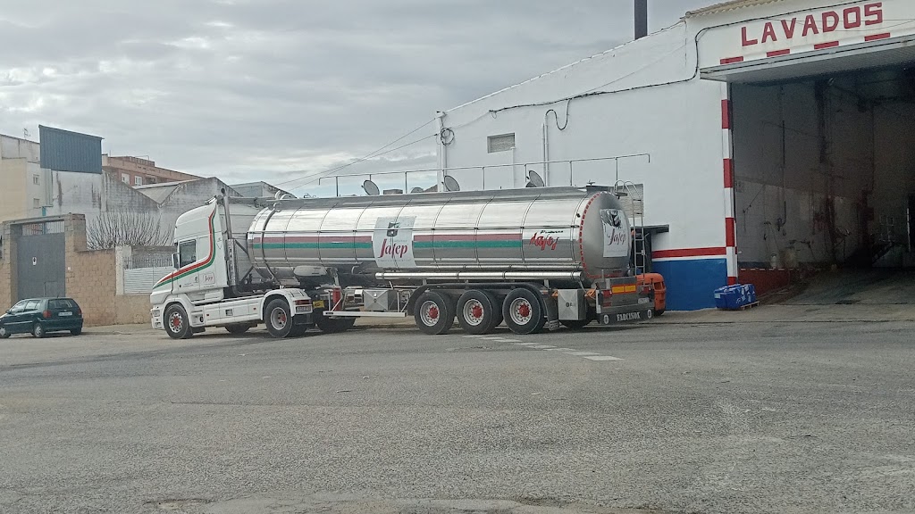 LAVADOS Y VAPORIZADOS ORTEGA.