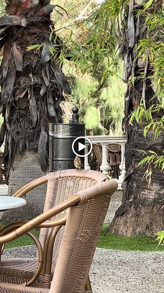 La Terraza de Termalium — Videos