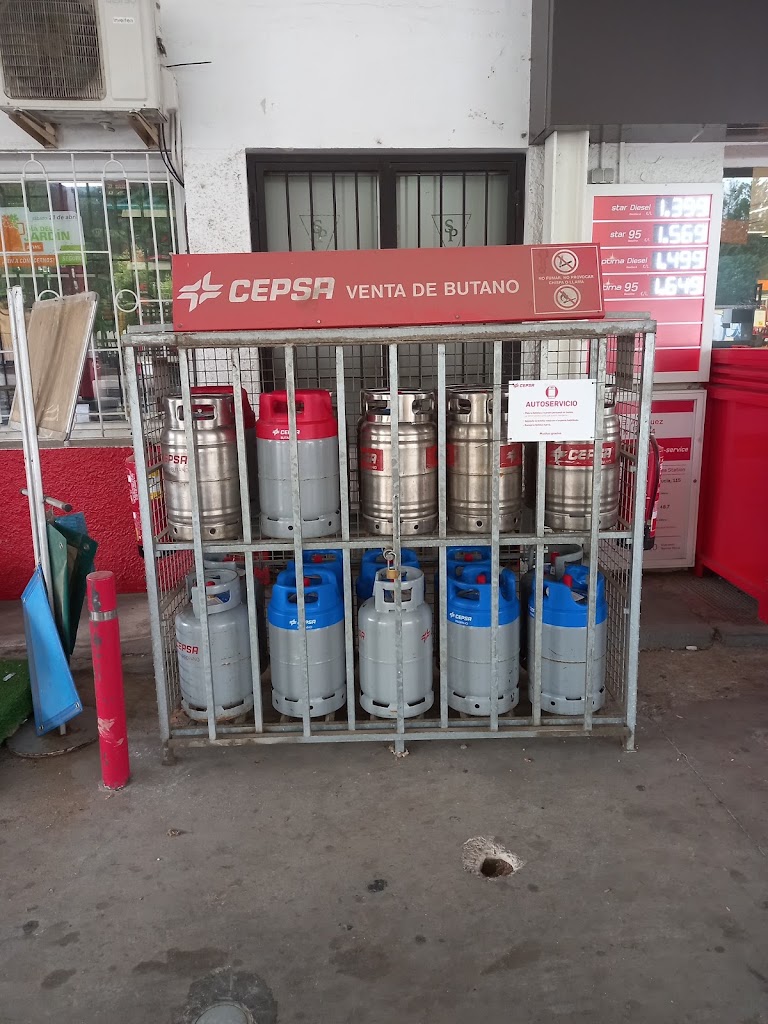Estacion de servicio Cepsa — Del propietario