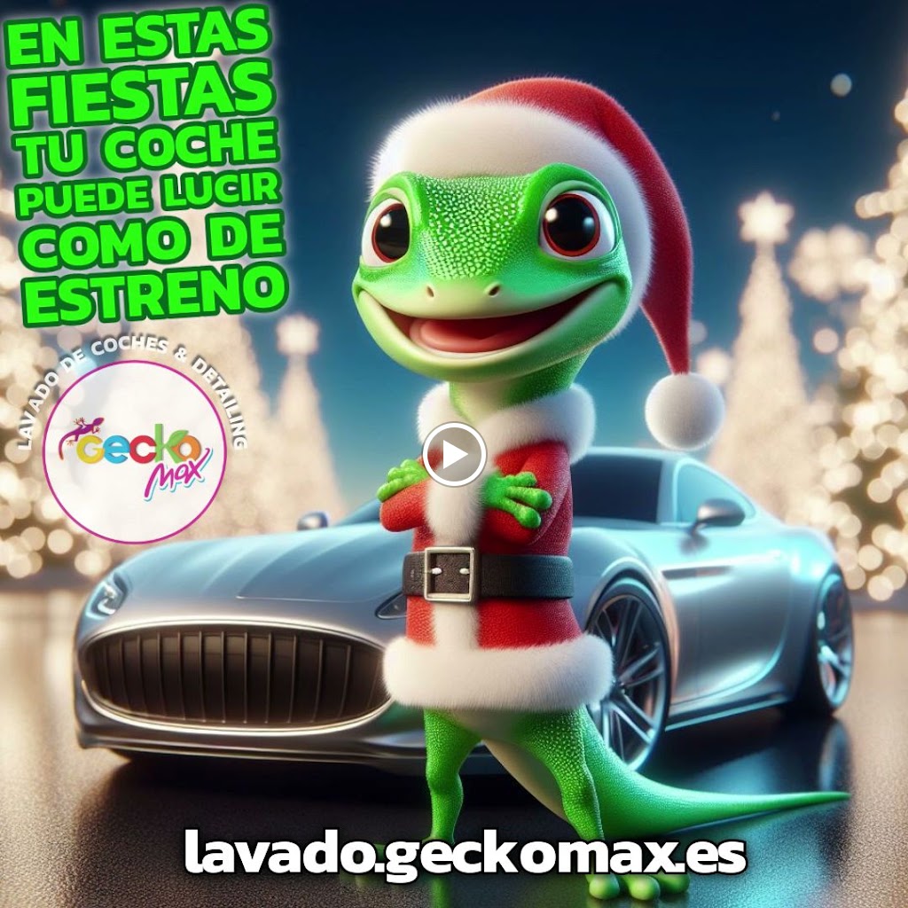 Lavado de Coches GeckoMax — Videos