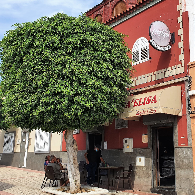 Bar Cafeteria Ca' Elisa