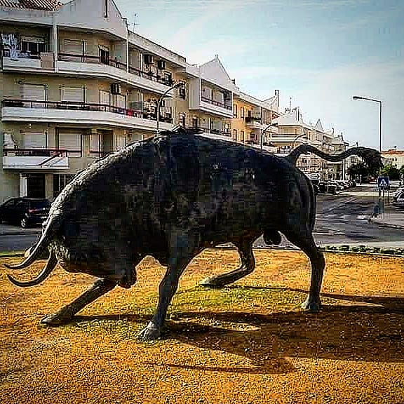 Monumento a Tauromaquia - "Rotunda do Toiro"