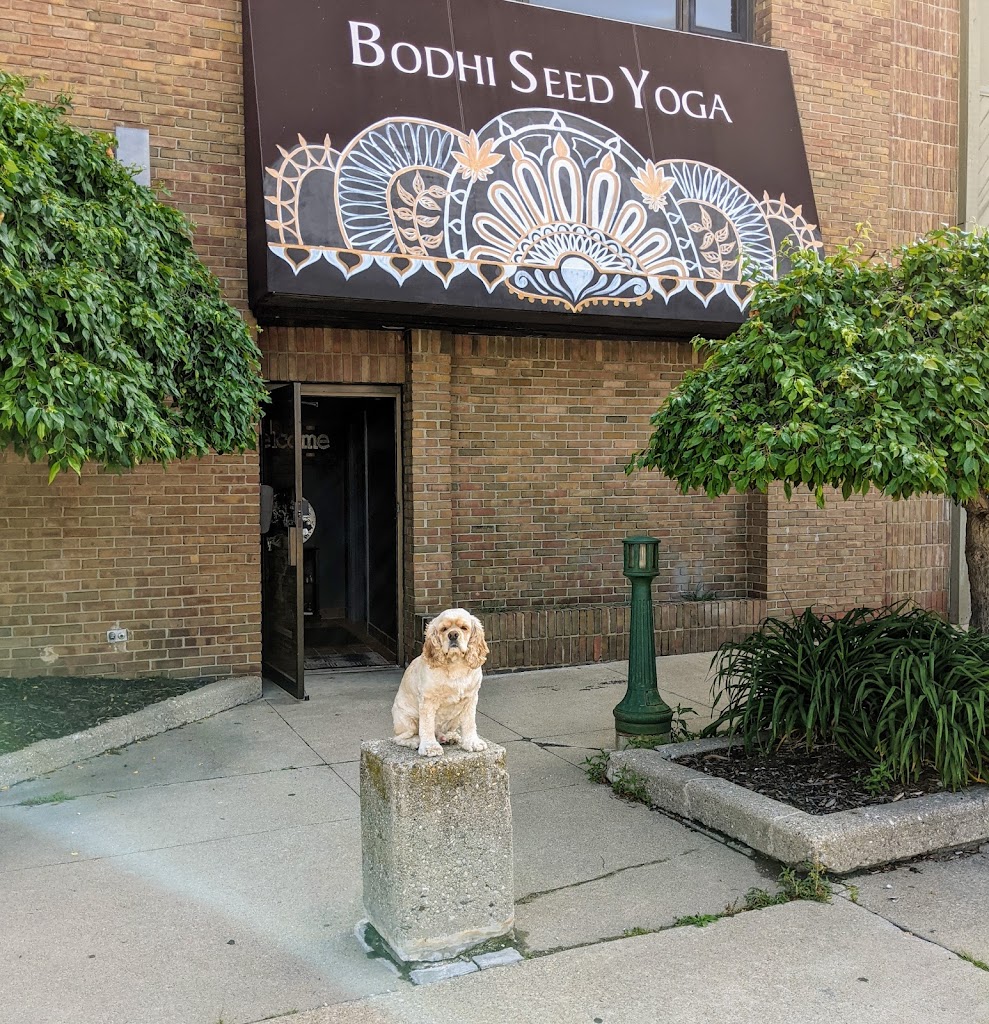  Bodhi Seed Yoga and Wellness Center