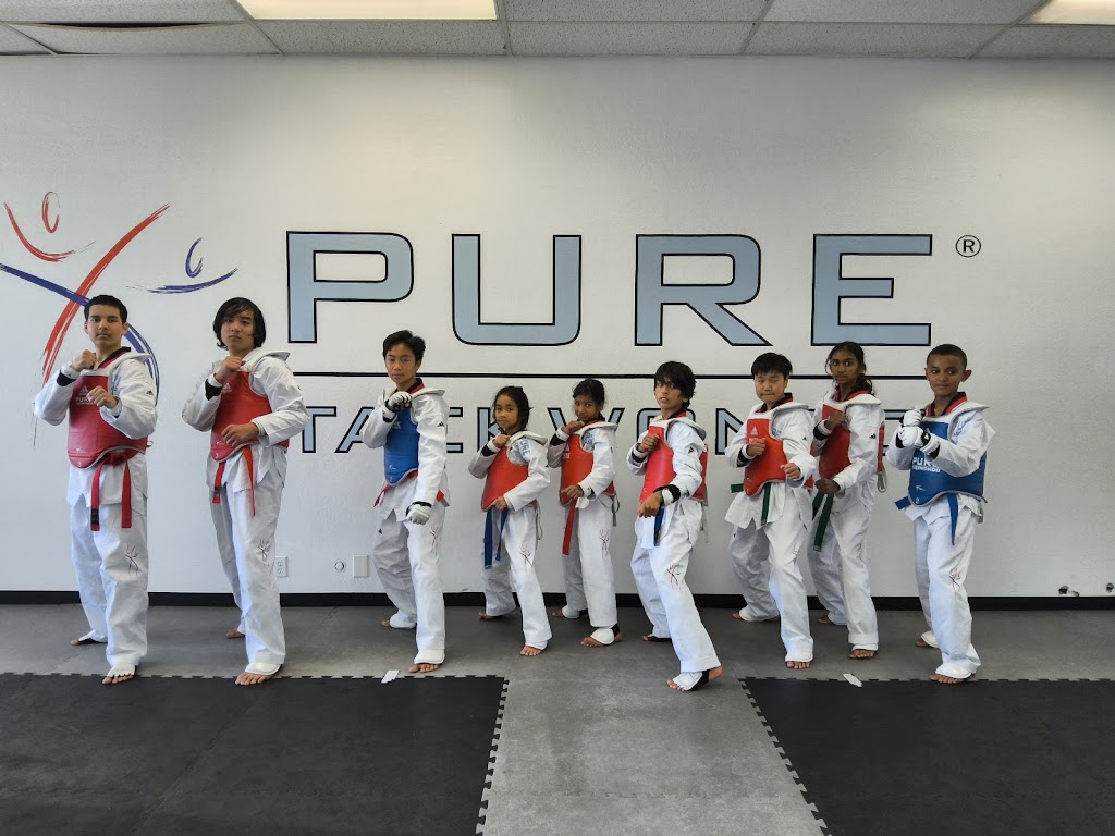  PURE TAEKWONDO