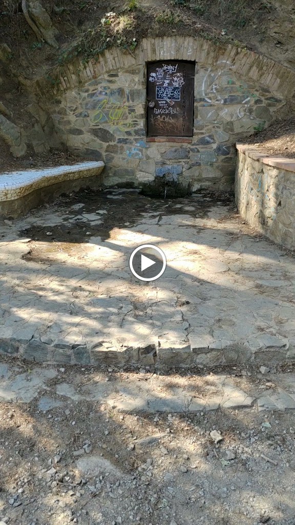Font de can Borni