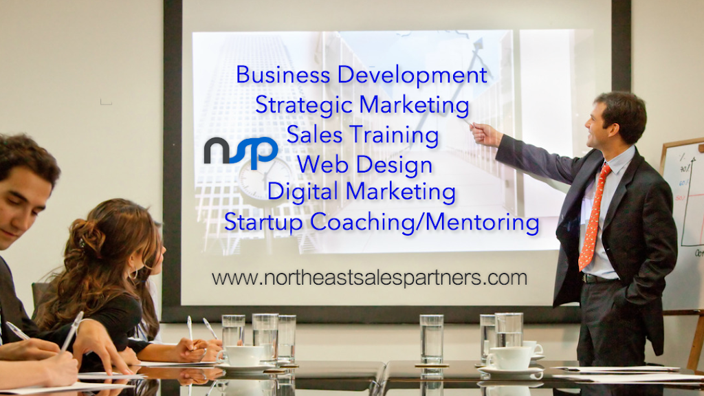 Northeast Sales Partners Llc