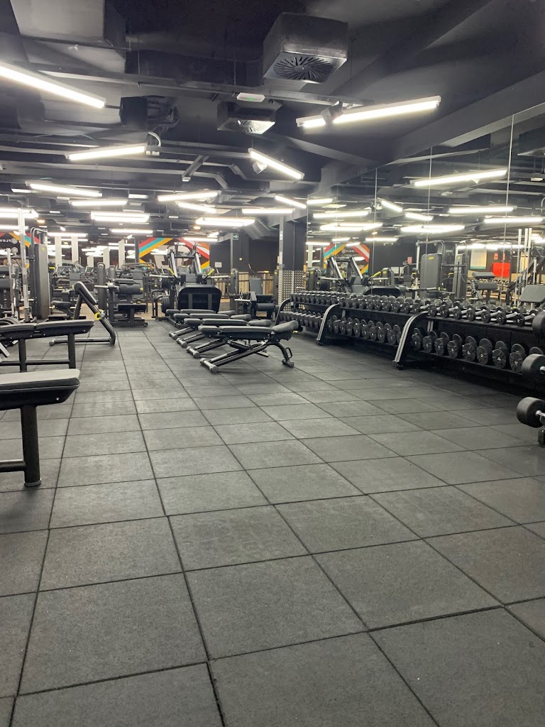 Synergym San Vicente Universidad