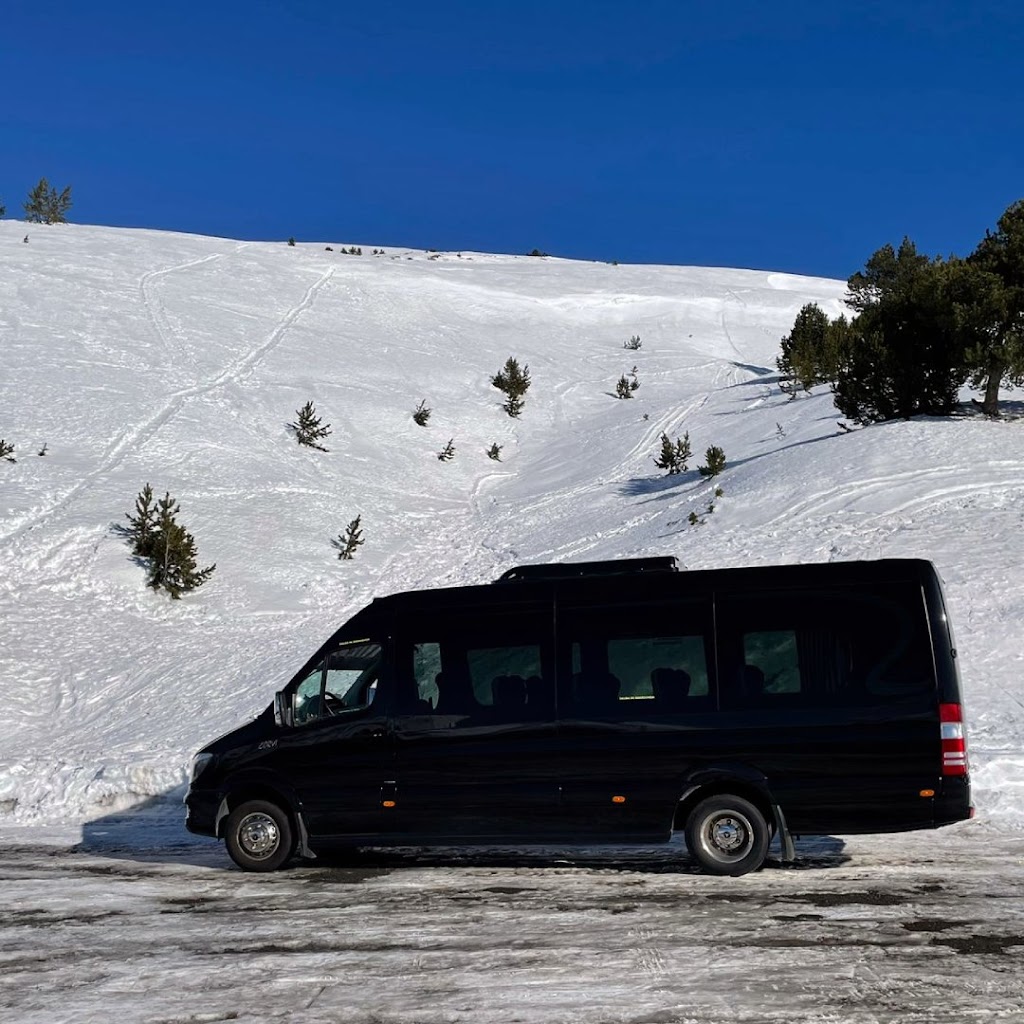 CarVan Bus SL