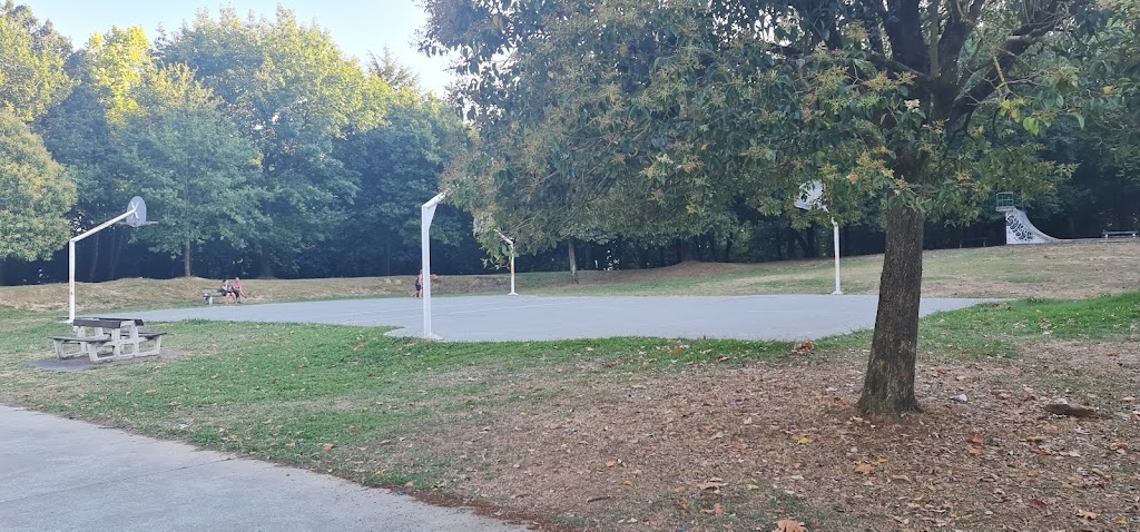 Canastas de baloncesto