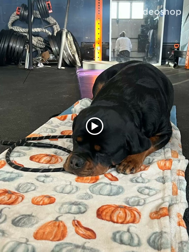  ShauntaStrong Personal Training