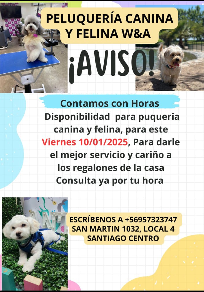 Más recientes
