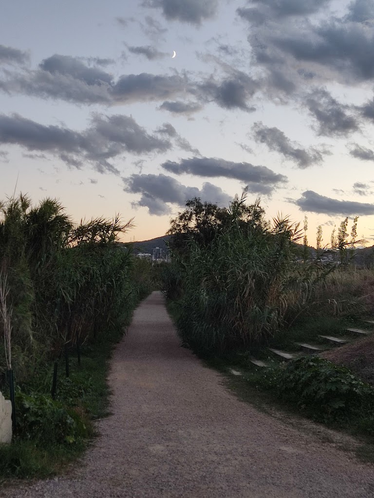 Cami dels Horts