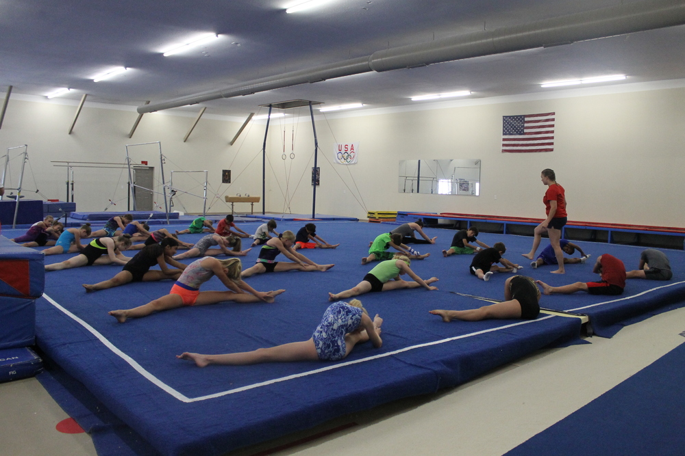  Hayasaki Gymnastics Center