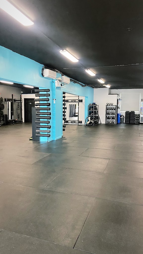  Motionmatrix Training