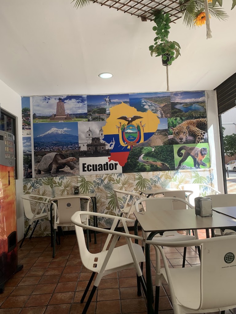 El Rincon Guayaco — Ambiente