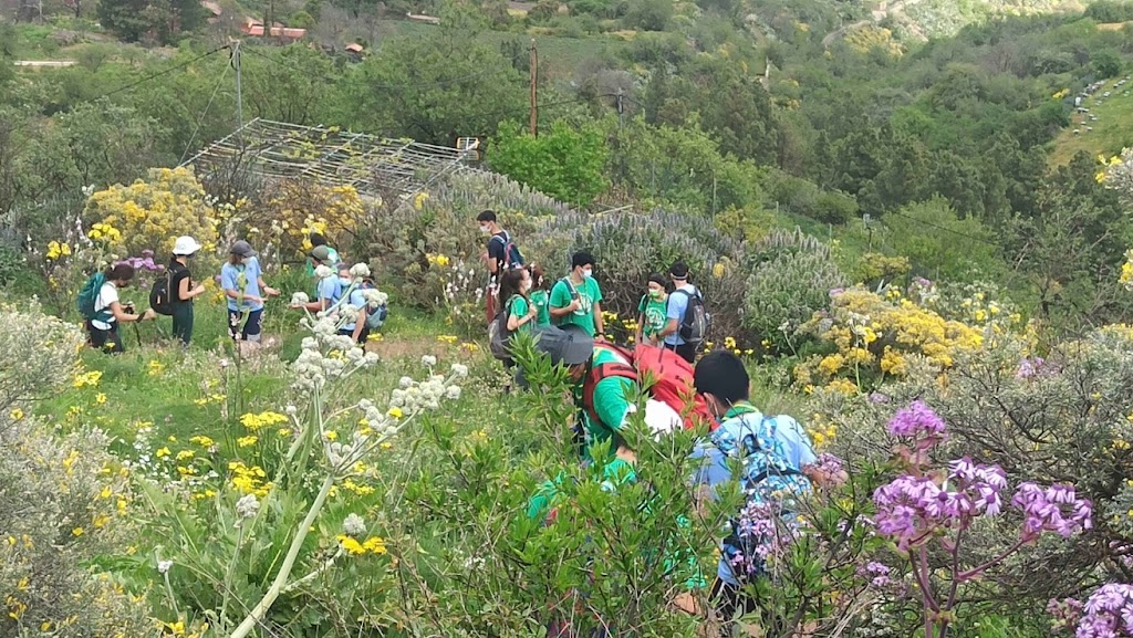 Grupo Scout Wanak 130 - ASDE SCOUTS DE CANARIAS