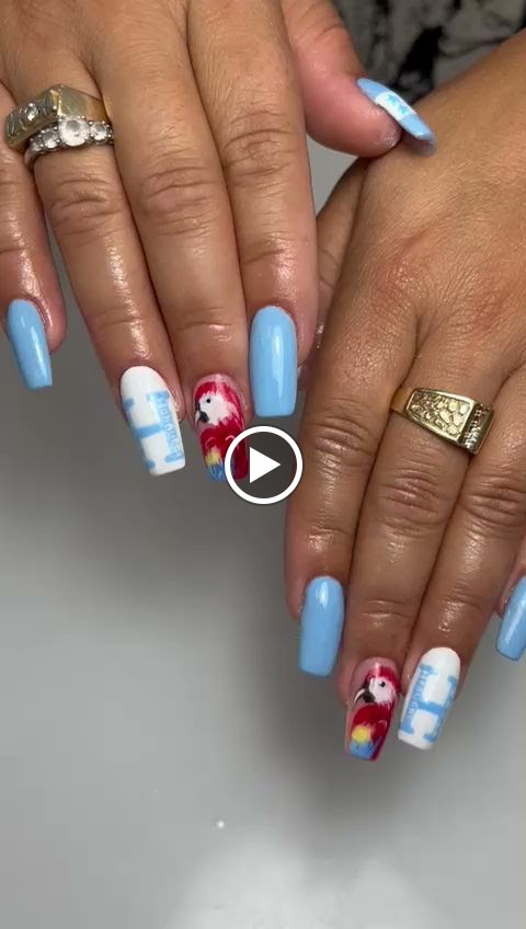 Centro de peluqueria y estetica Sandra Bustamante — Videos