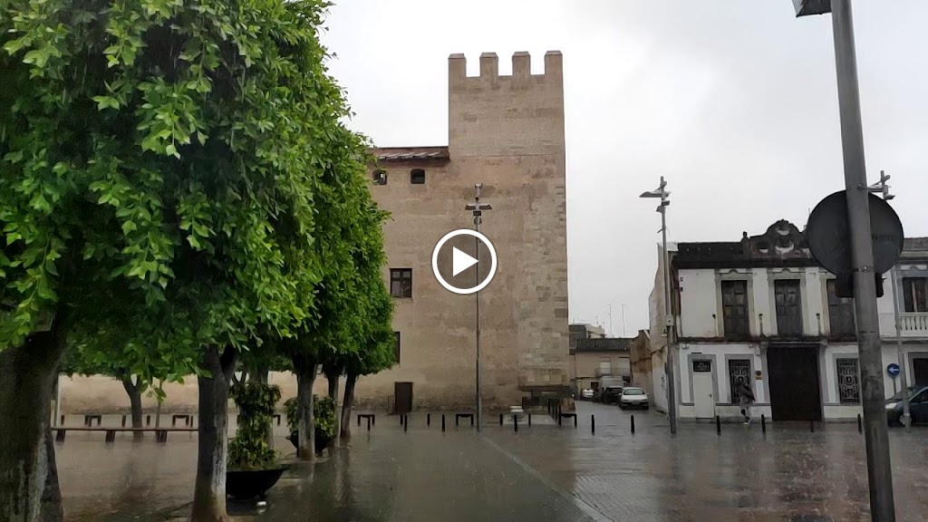L'Ateneu d'Alaquas — Videos