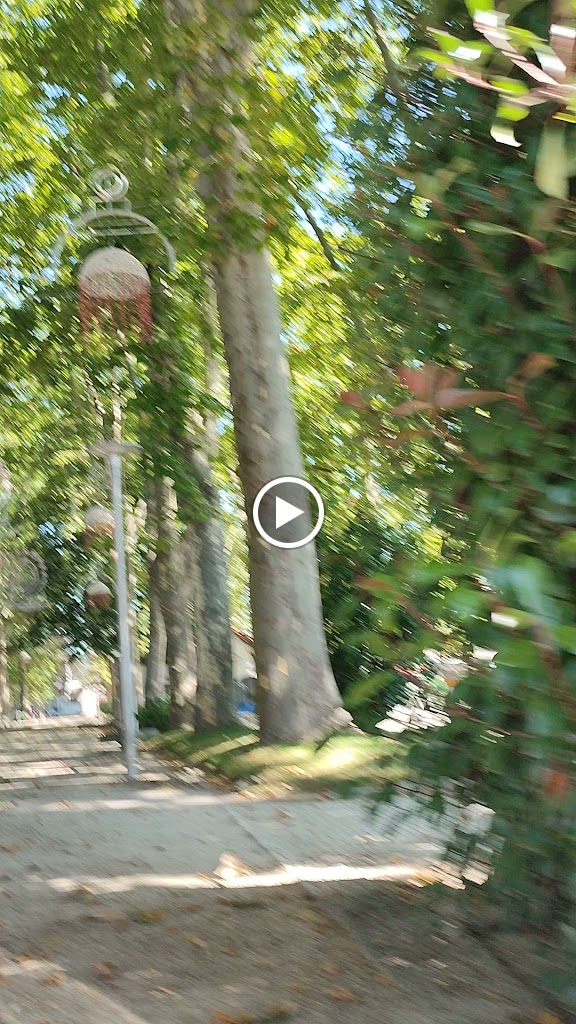 Videos