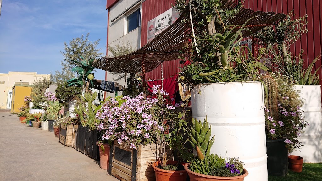 Asociacion Aliento de Vida