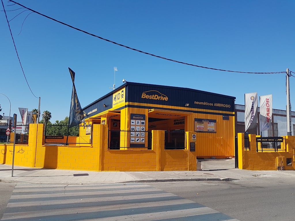 Neumaticos Ambrosio
