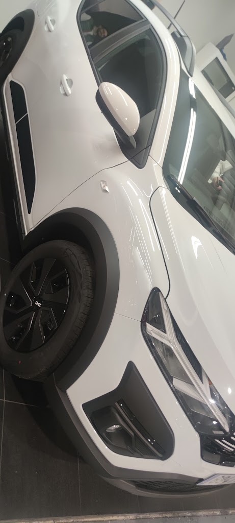 Dacia Guadalajara Autocarpe — Mas recientes