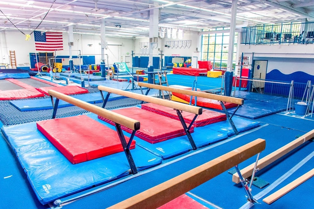  Olympica Gymnastics