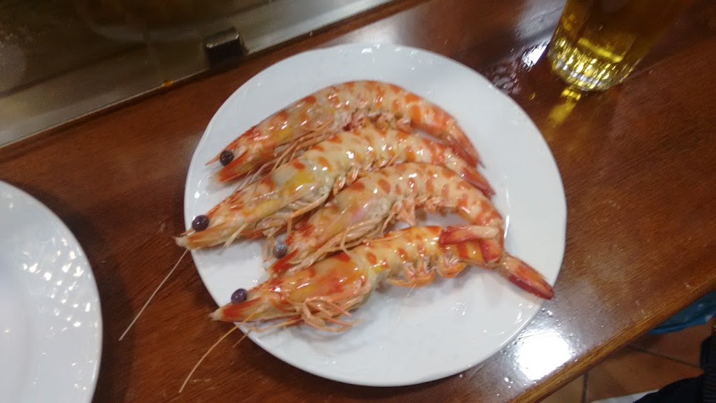 Bar Casa Emilio Malojo — Dendrobranchiata