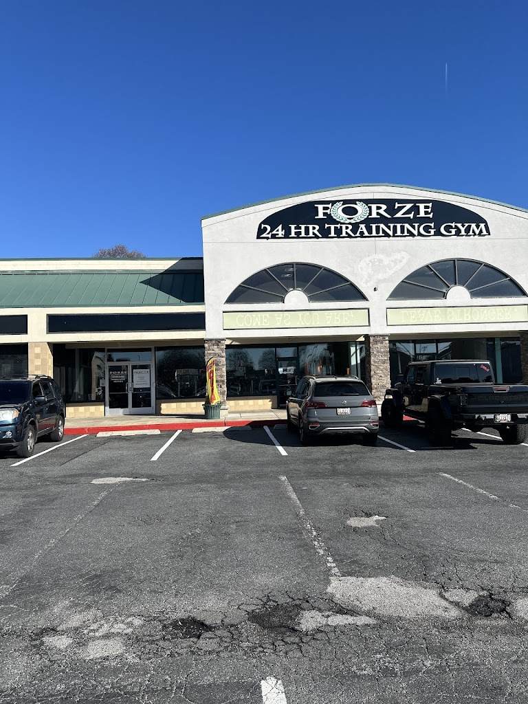  Forze Bel Air XXIV Training Gym