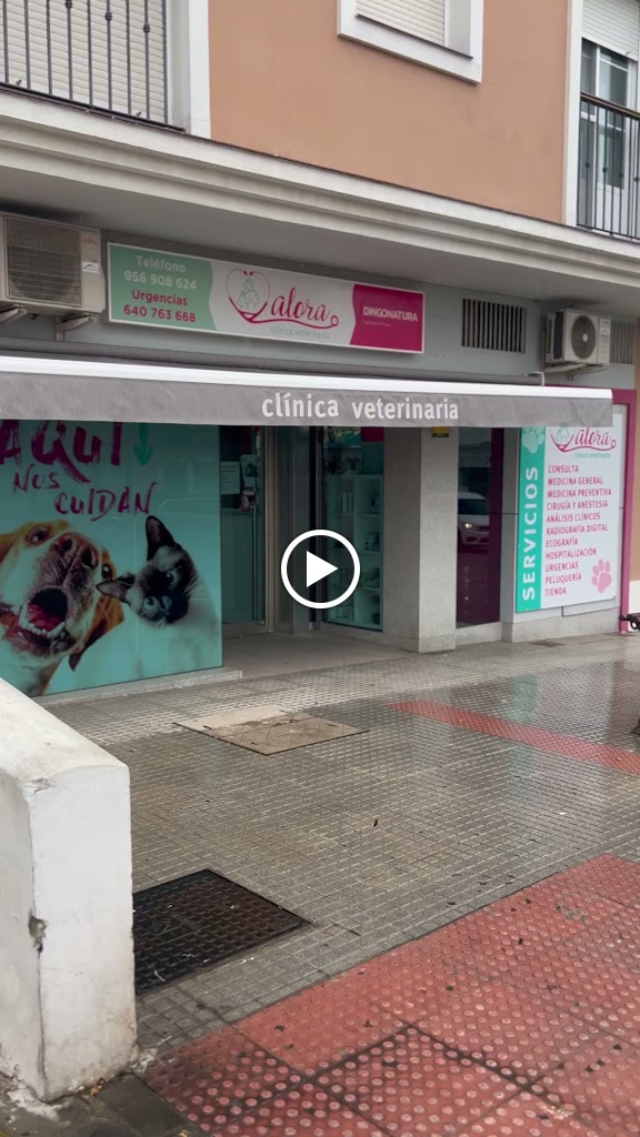 Clinica Veterinaria Alora | Chiclana — Videos