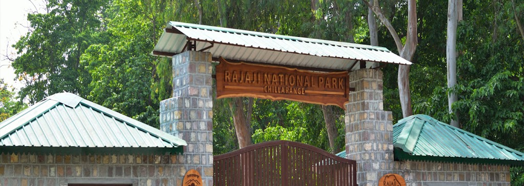 Rajaji Tiger Reserve,Jungle Safari by Rajaji Retreat