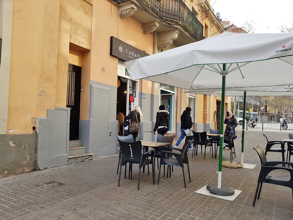 Canape Premium Music Bar — Ambiente